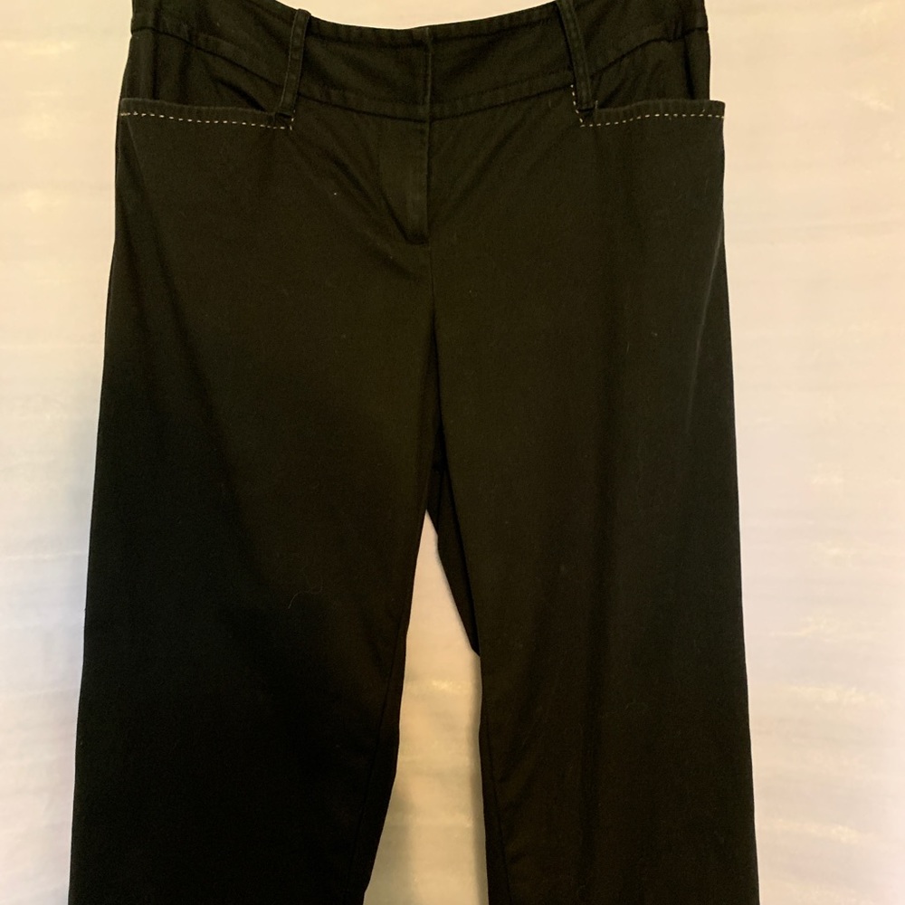 Ann Taylor Loft Crop Pants